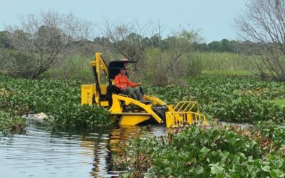 Why Integrated Aquatic Management is Essential for Sarasota & Manatee Counties