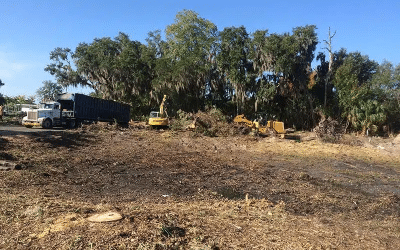 Restoring Florida’s Natural Heart: Why Upland Restoration is Essential for Your Property