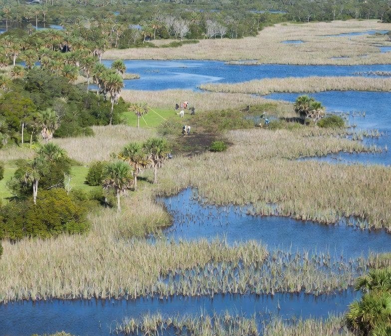 Wetland & Upland Management.