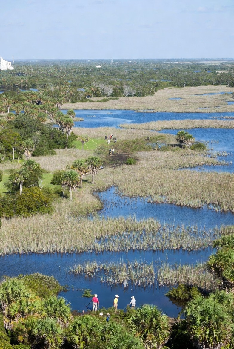 Wetland Management