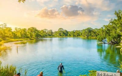 Aquatic Management Services