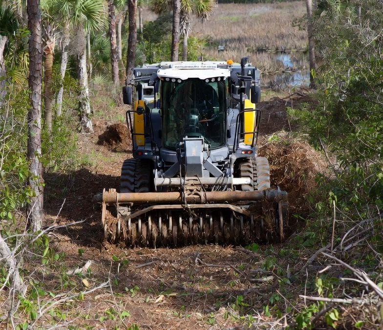 Expert Forestry Mulching in Sarasota: Reclaim Your Land the Eco-Friendly Way with Rick Richards Inc.