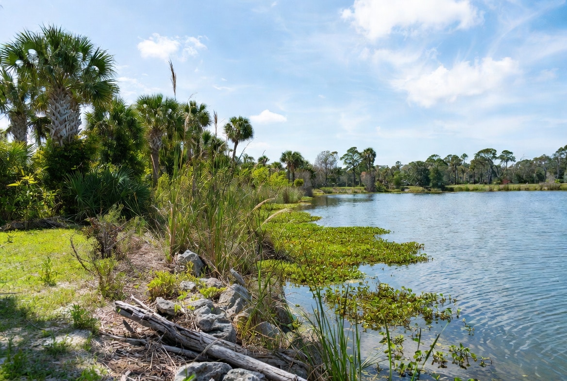 Aquatic Management Services