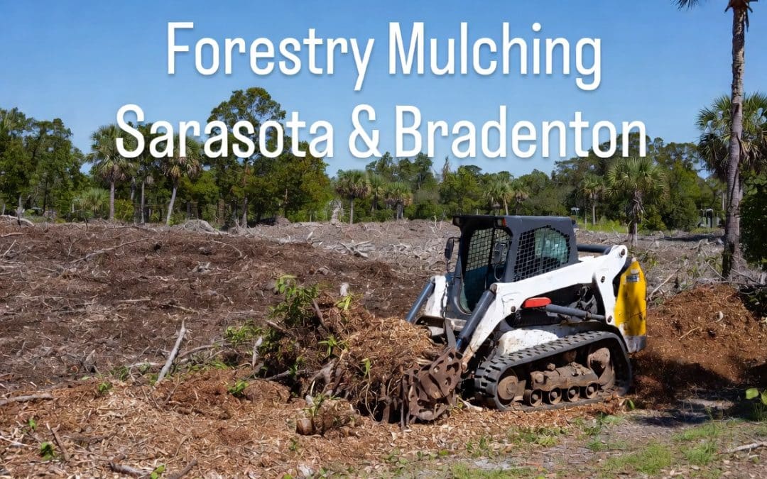Sarsota Bradenton forestry mulching