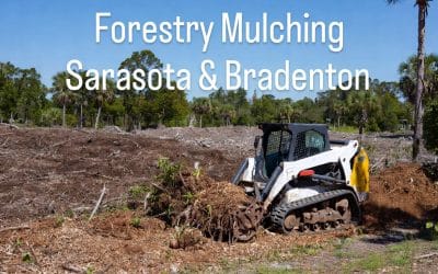 Forestry Mulching in Sarasota & Bradenton: The Smart, Eco-Friendly Way to Clear Your Land