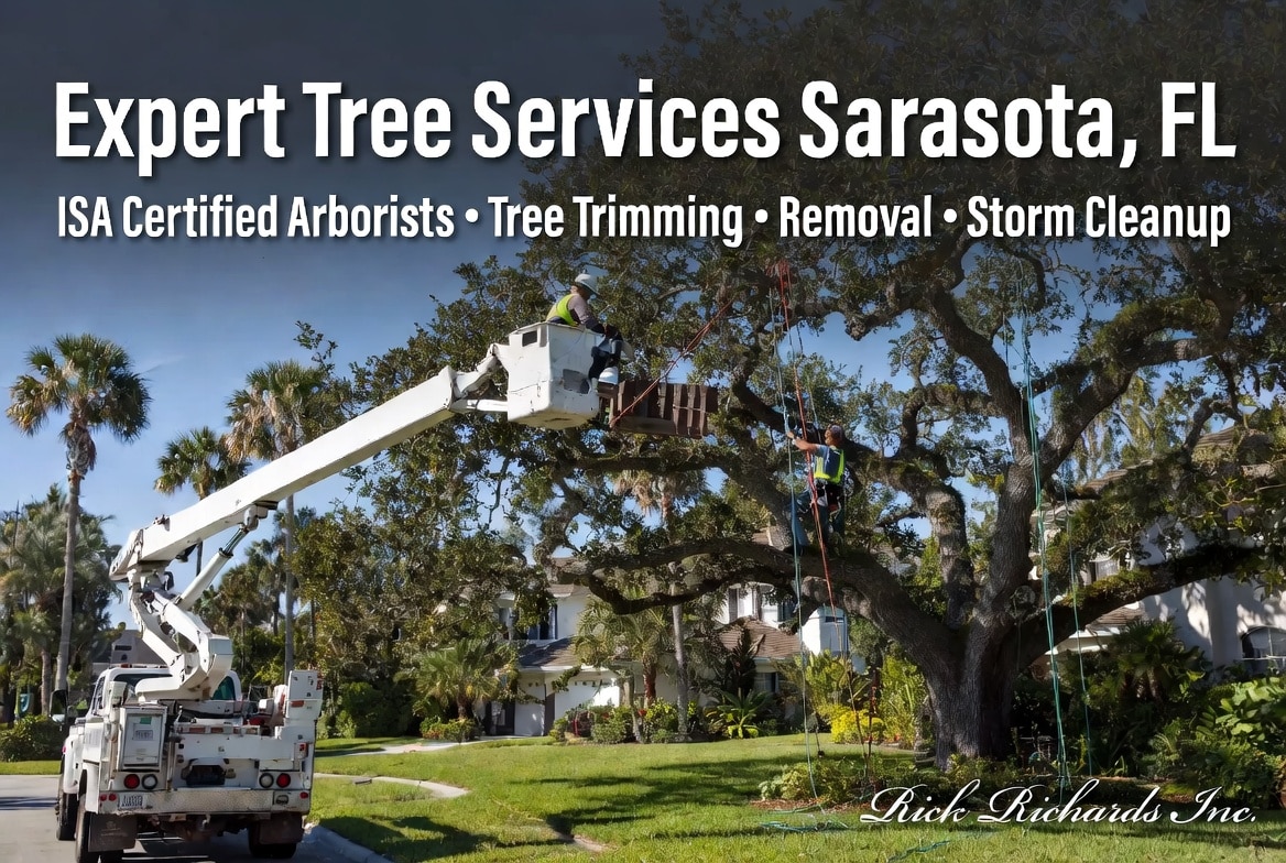Expert Tree Services