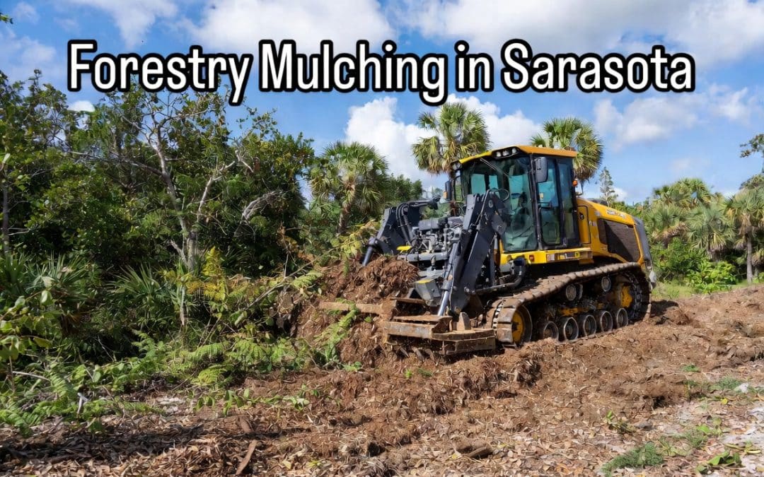 Sarasota forestry mulching