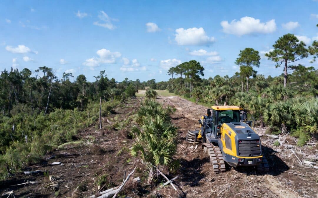Forestry Mulching in Sarasota & Bradenton, FL