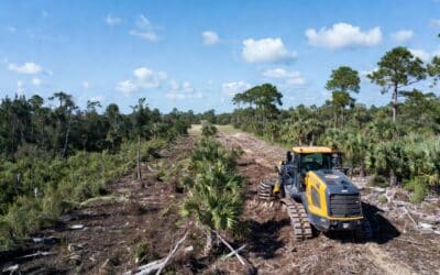Transform Your Overgrown Property with Professional Forestry Mulching in Sarasota
