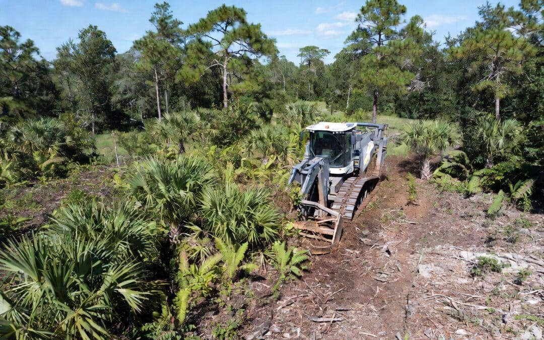 Forestry Mulching Sarasota County