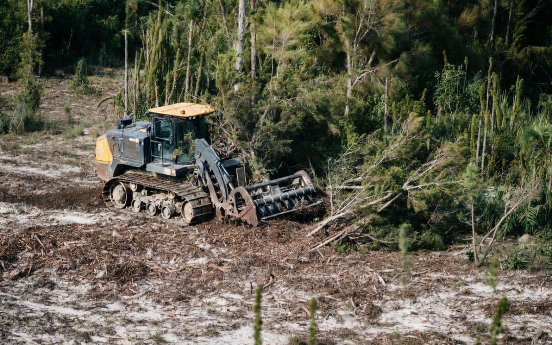 forestry mulching sarasota