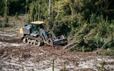 Transform Your Overgrown Property with Professional Forestry Mulching in Sarasota & Bradenton