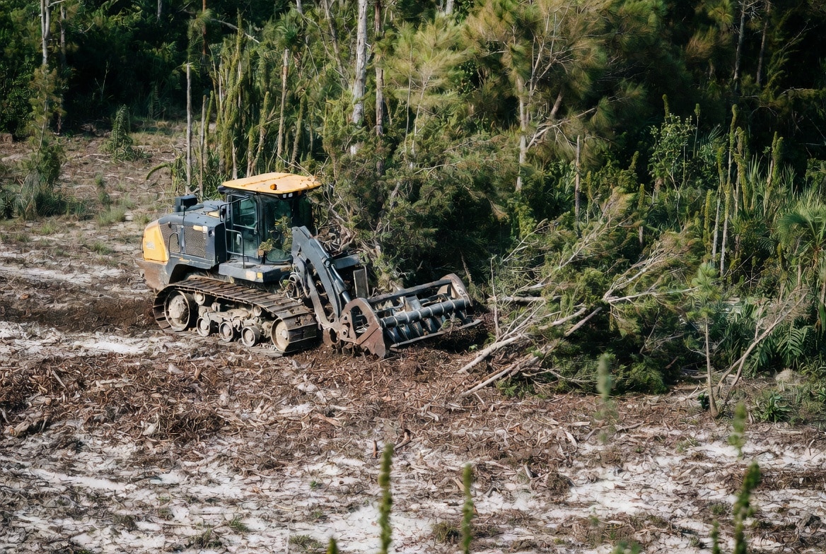 forestry mulching sarasota