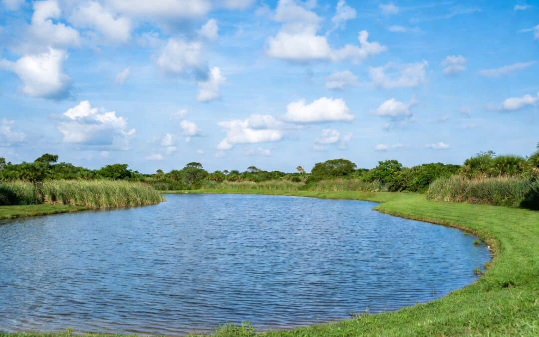 Stormwater Facility Maintenance in Southwest Florida: Protecting Your Property, Compliance & the Environment